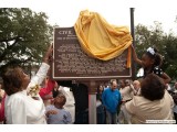 Unvieling the Plaque