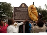 Unvieling the Plaque