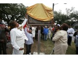 Unvieling the plaque